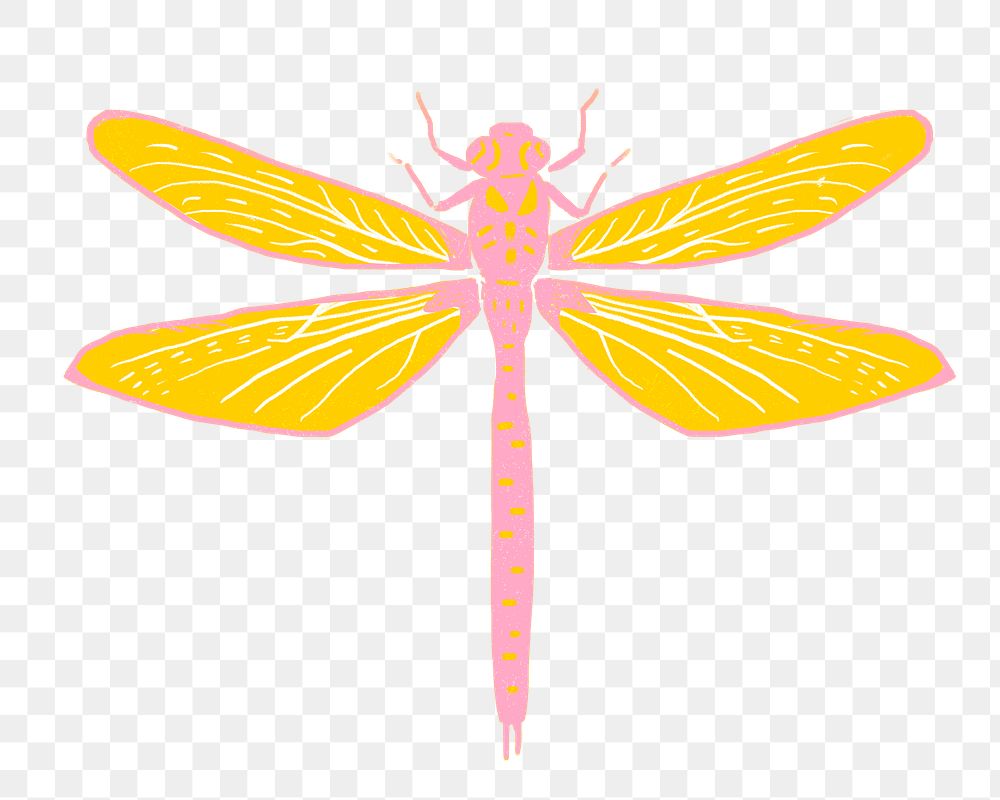 Colorful dragonfly png sticker vintage linocut drawing