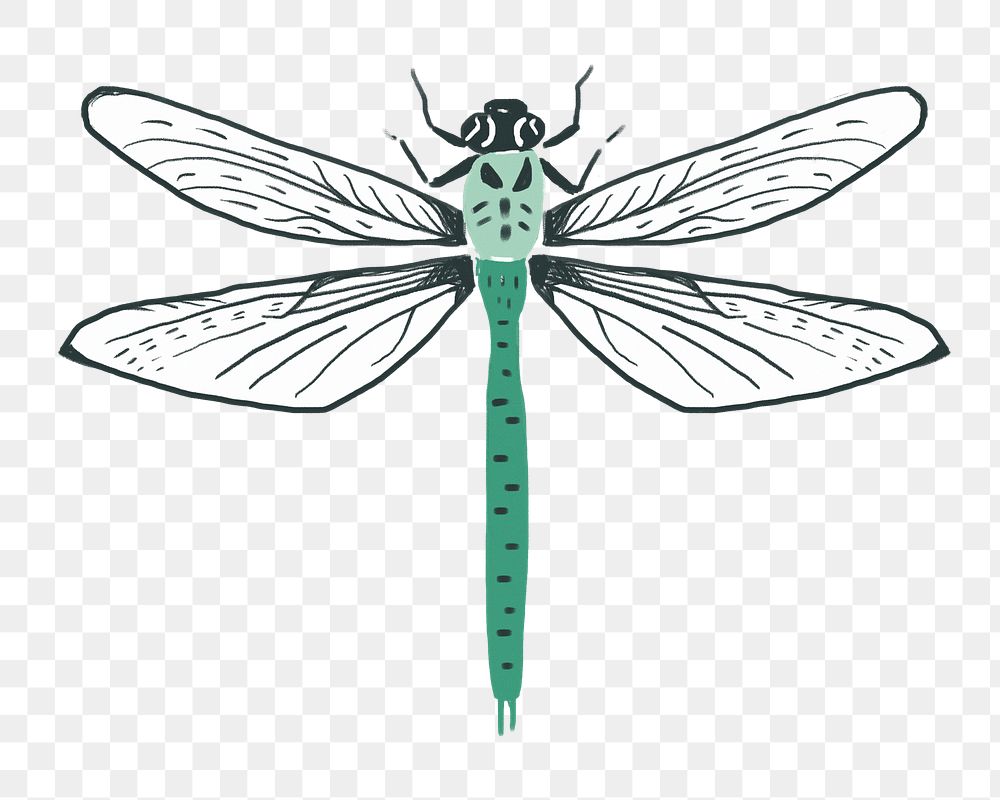 Vintage dragonfly png sticker insect stencil pattern