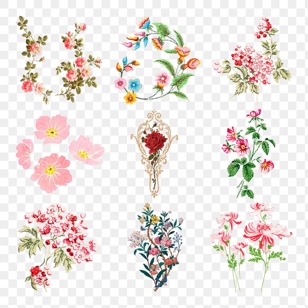 Png vintage sticker colorful flowers  