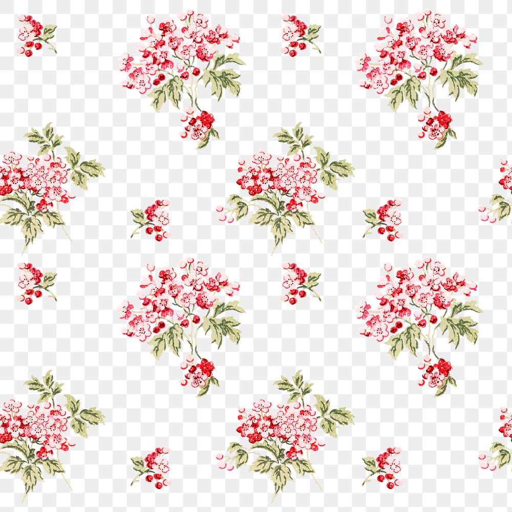 Png colorful verbena flower botanical pattern transparent background