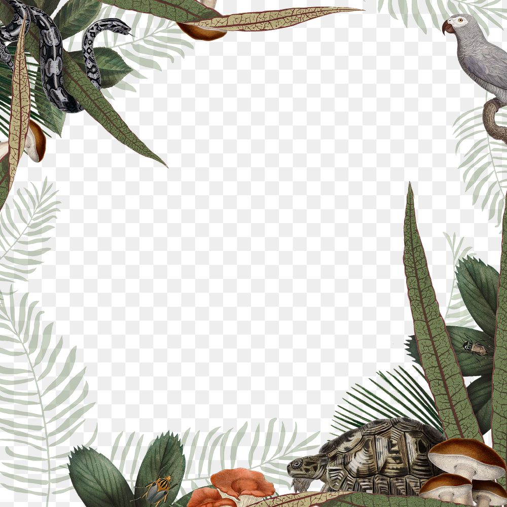 Jungle animals frame png transparent background