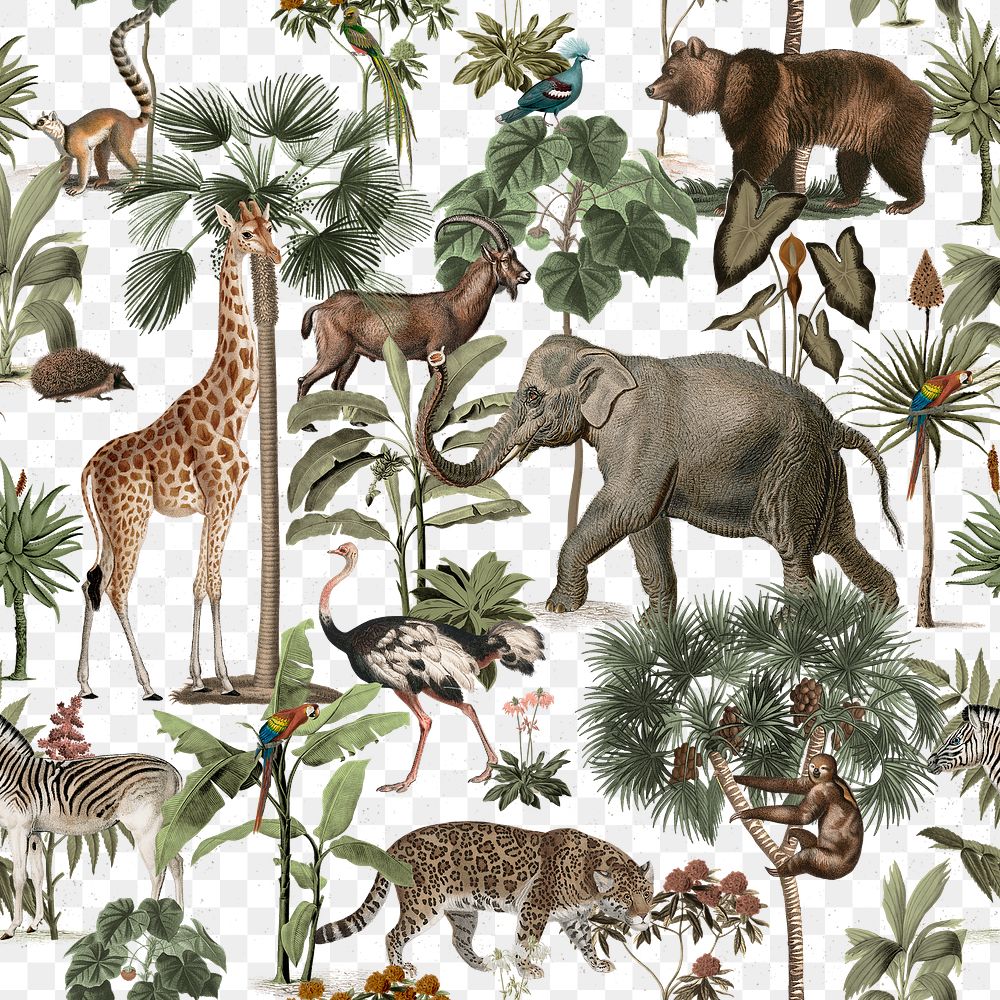 Wildlife seamless pattern png transparent background