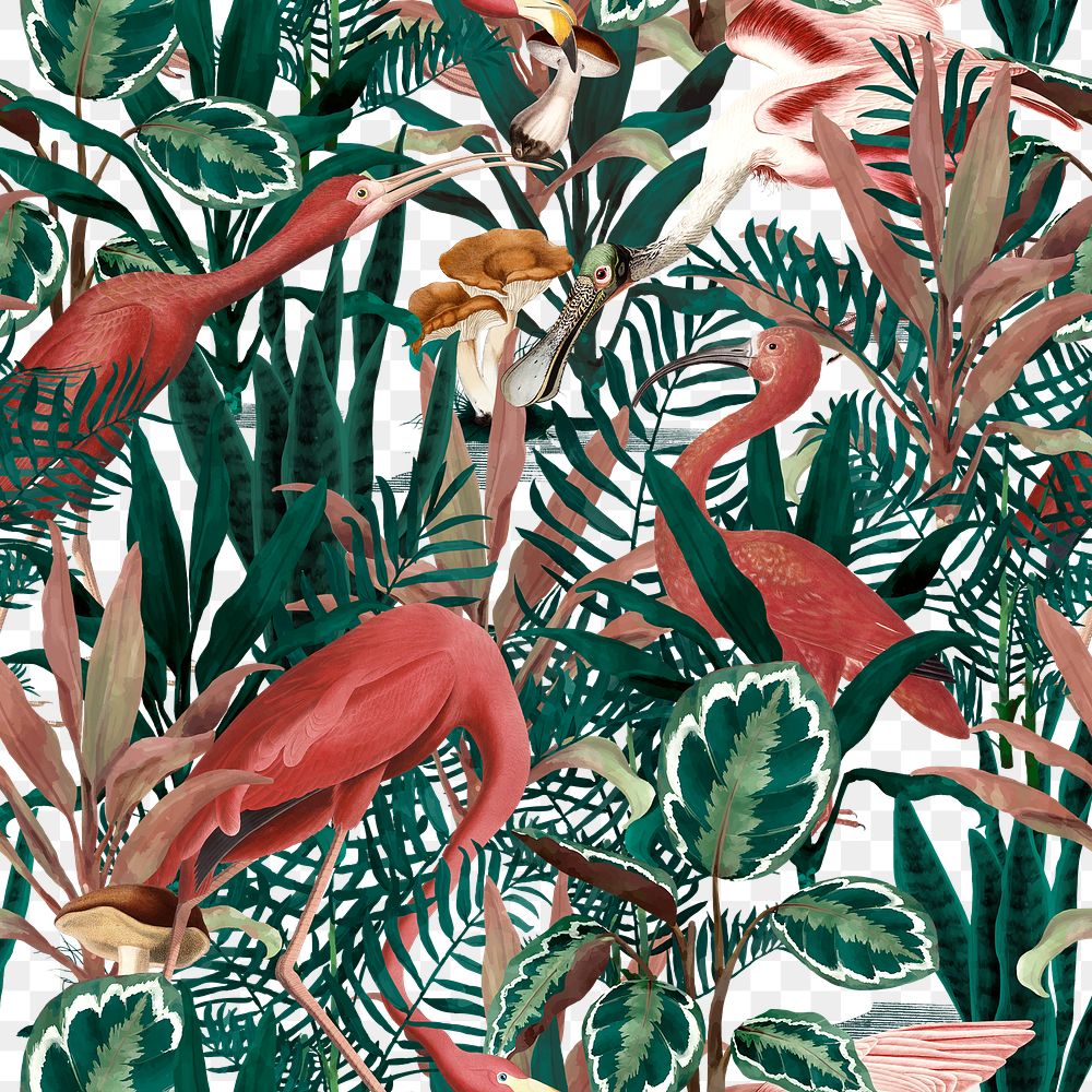 Flamingo seamless pattern png transparent background  in the jungle