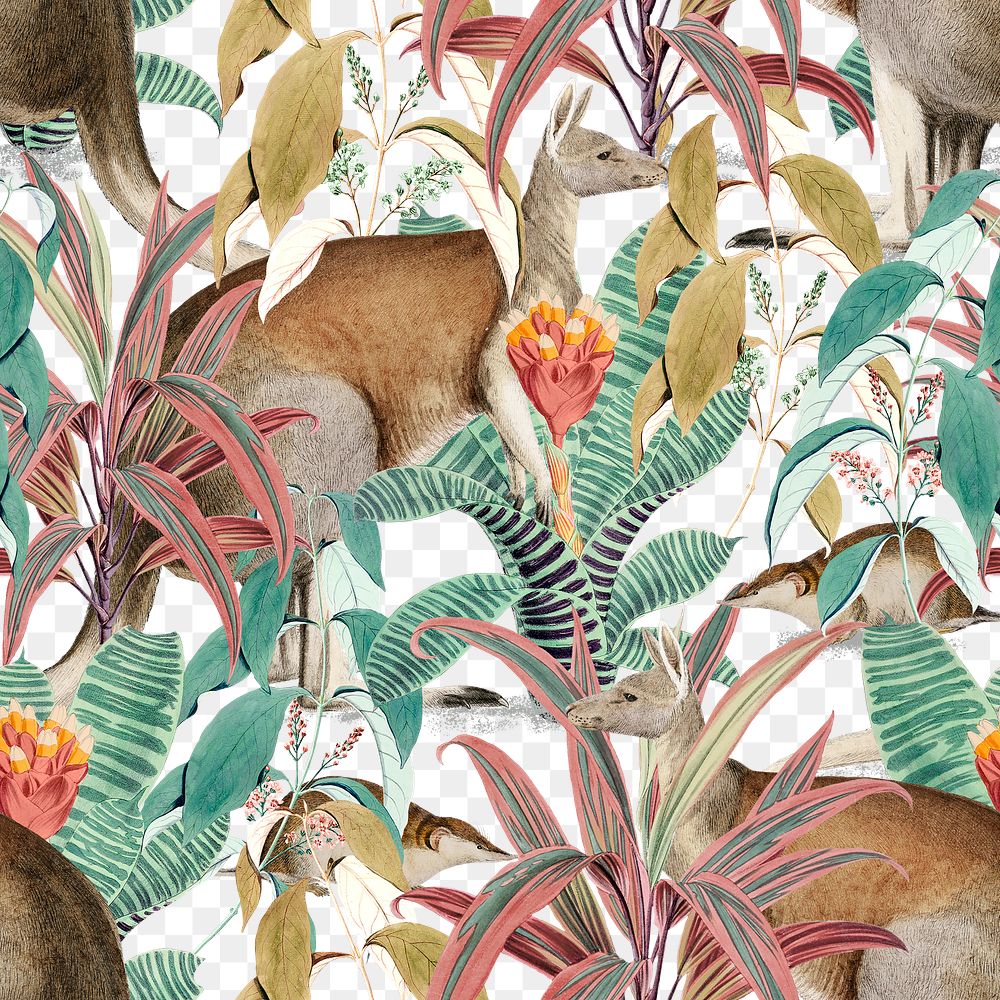 Kangaroo seamless pattern png transparent background in the jungle