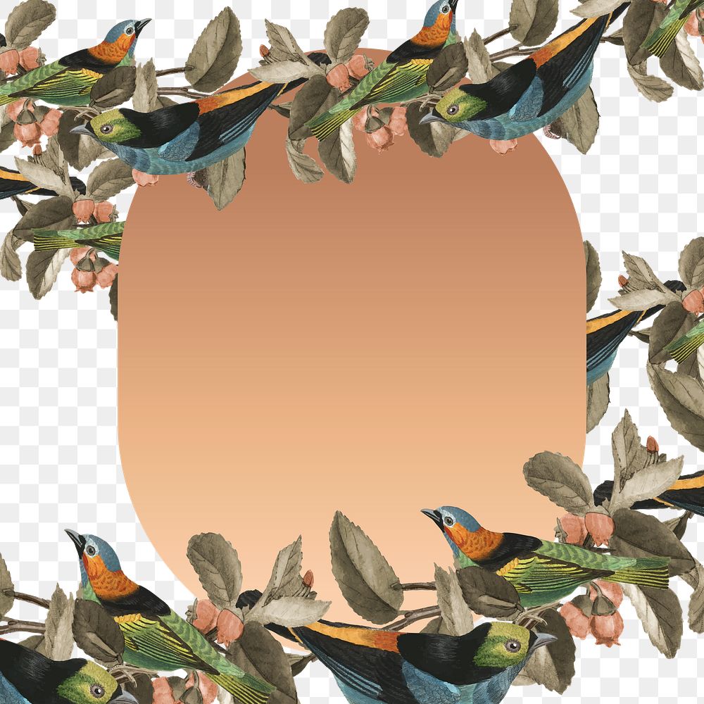 Bird pattern border png gold frame transparent background