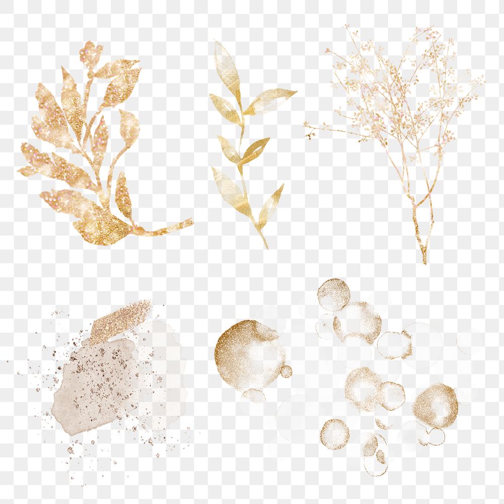 Golden decoration sticker png set in transparent background