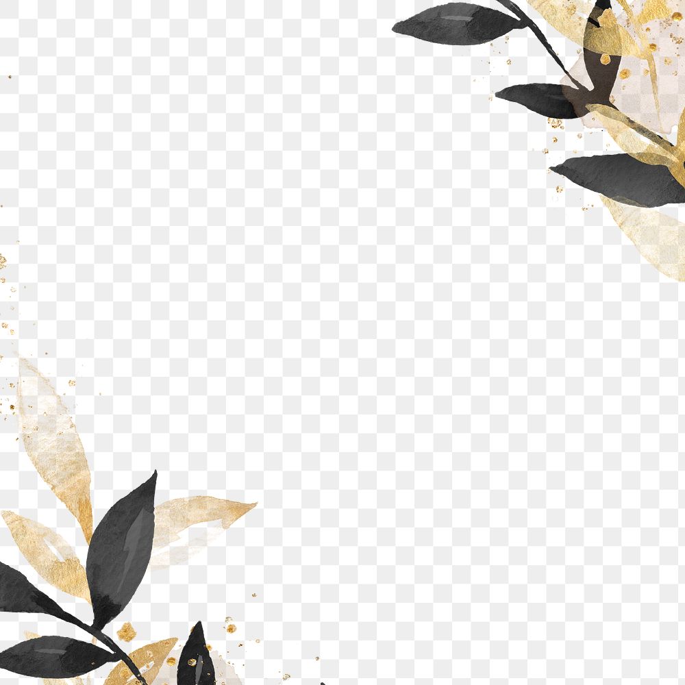 Black and gold border png frame transparent background