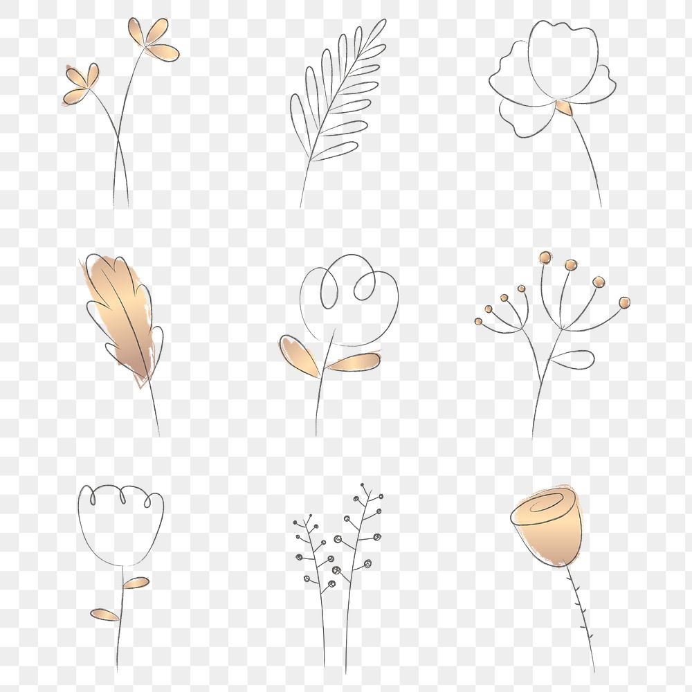 Png line art flower and leaf aesthetic 
