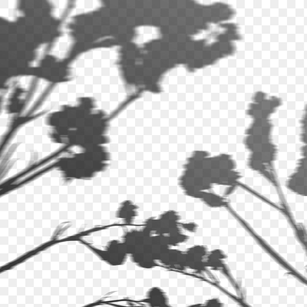 PNG cotton branch shadow design element