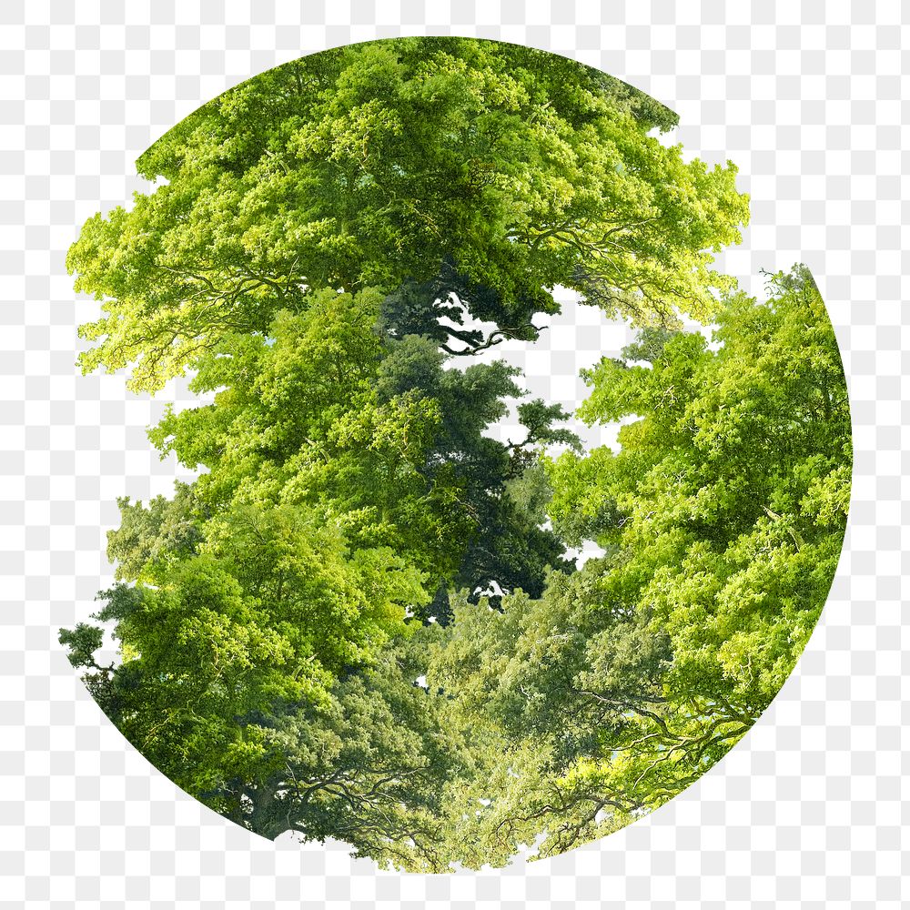 Png earth day graphic trees globe circle shape