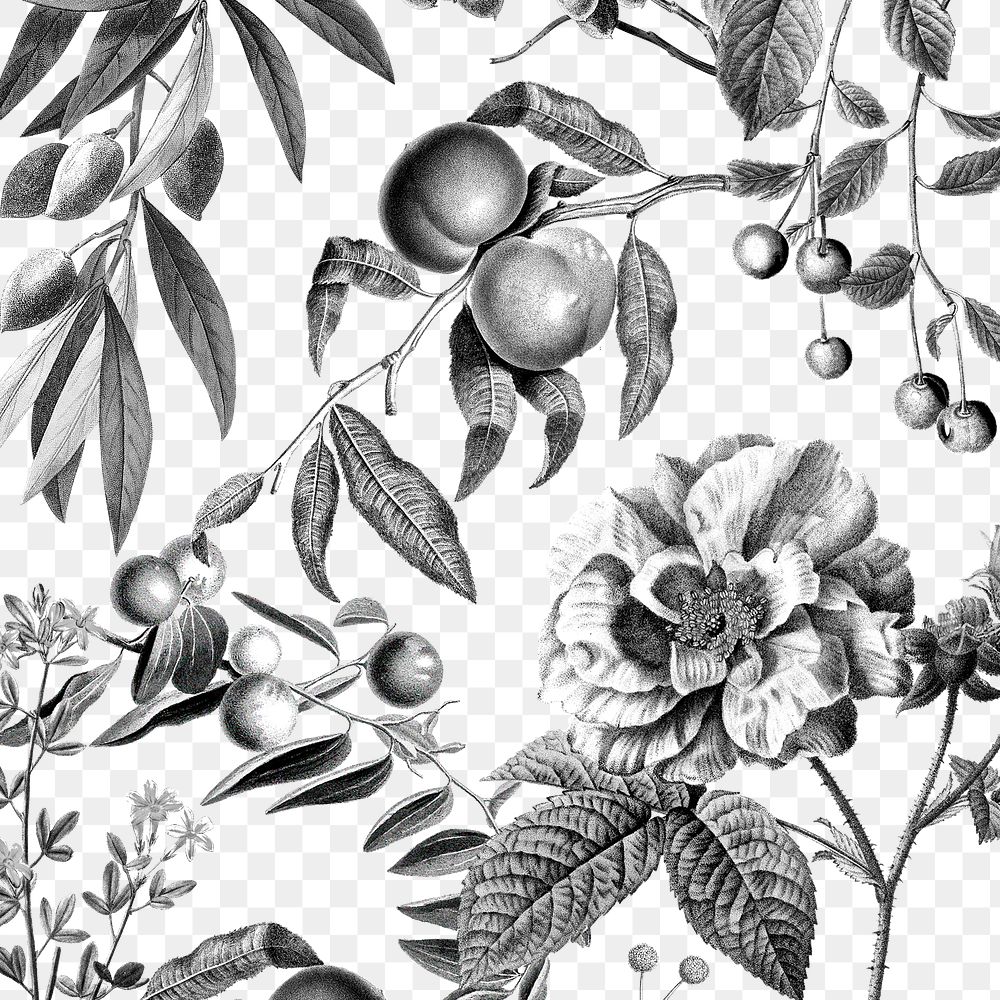 Pattern png rose and fruits elegant black and white floral illustration