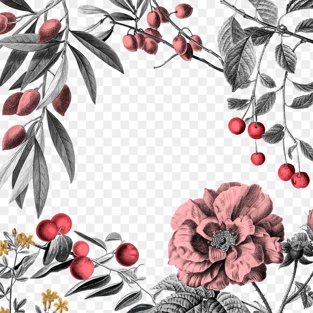 Frame png rose floral and fruits pink elegant illustration