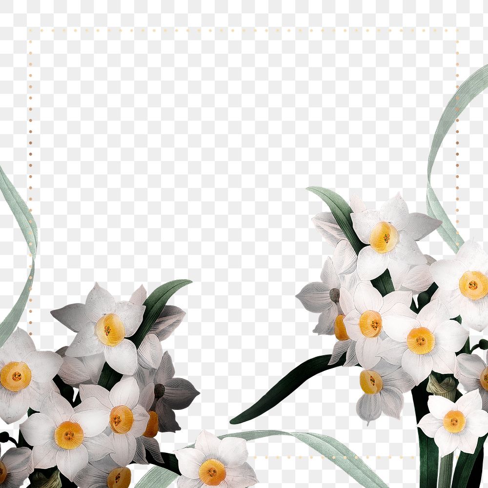 Png Easter border with daffodil on transparent background