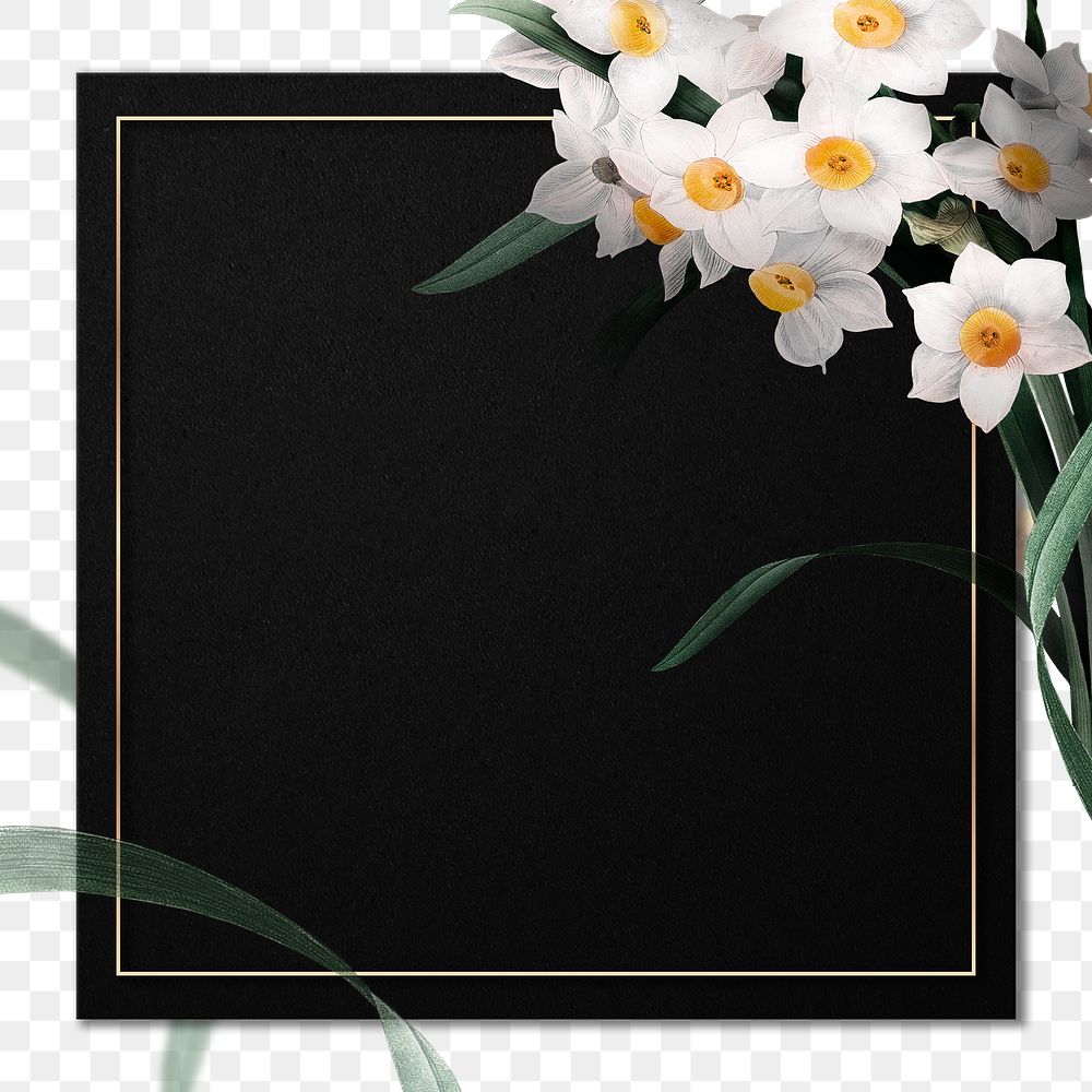 Png Easter frame with daffodil border transparent background