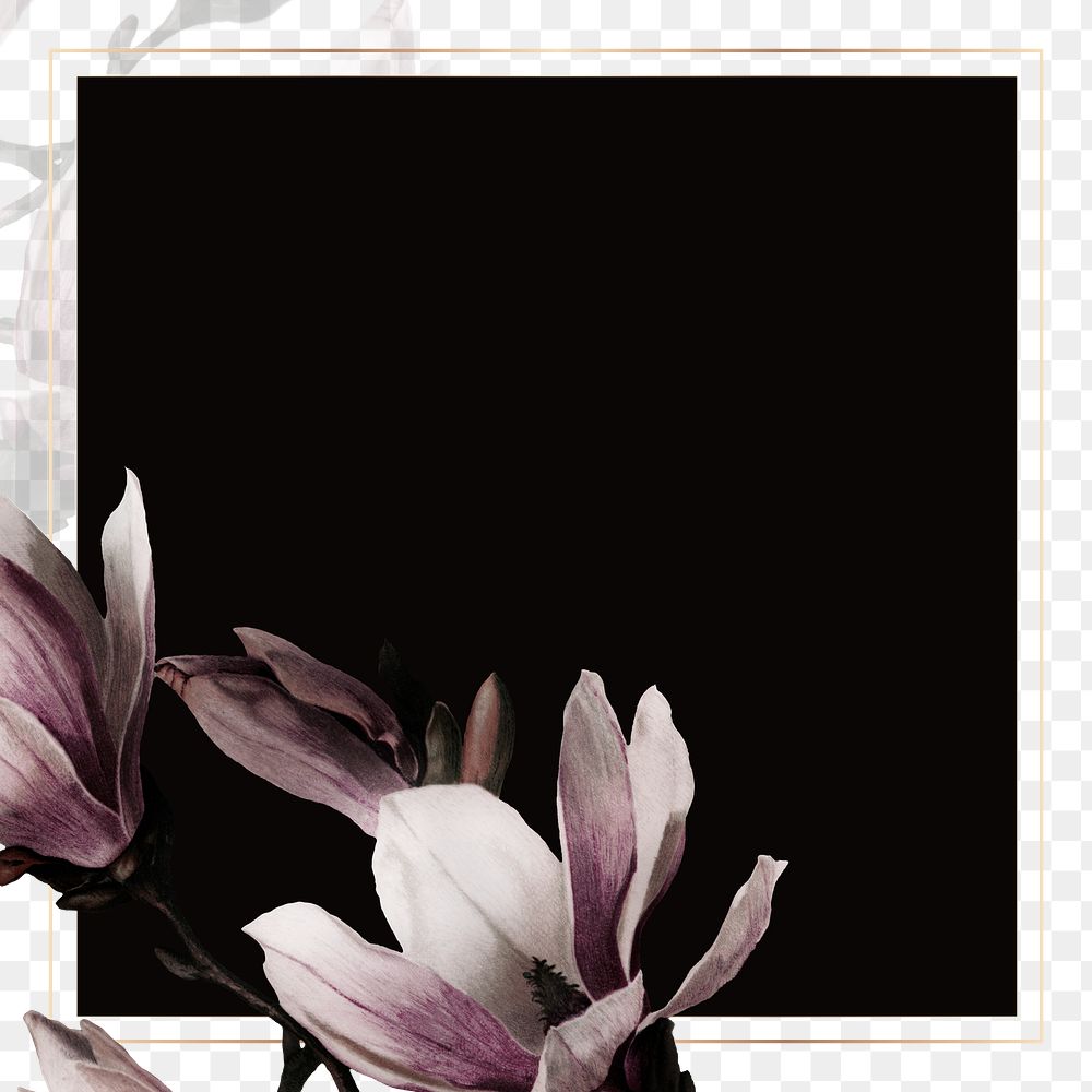 Png gold frame with magnolia border transparent background