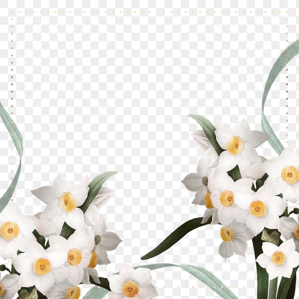 Png Easter border with daffodil on transparent background