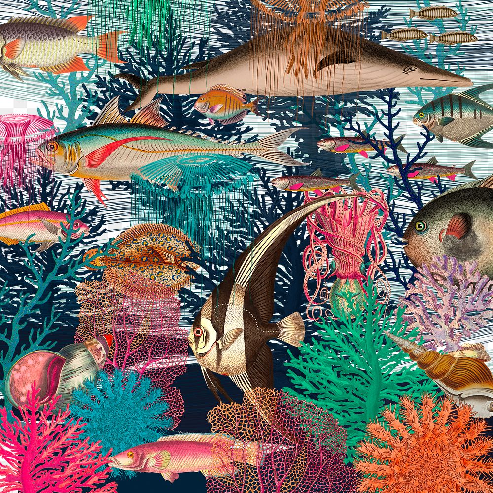Underwater pattern png in vintage style, remixed from public domain artworks