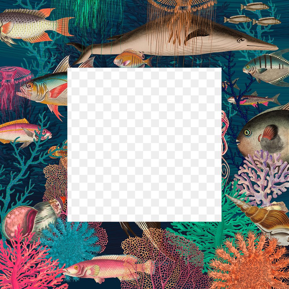 Vintage frame png with underwater pattern, remixed from public domain artworks