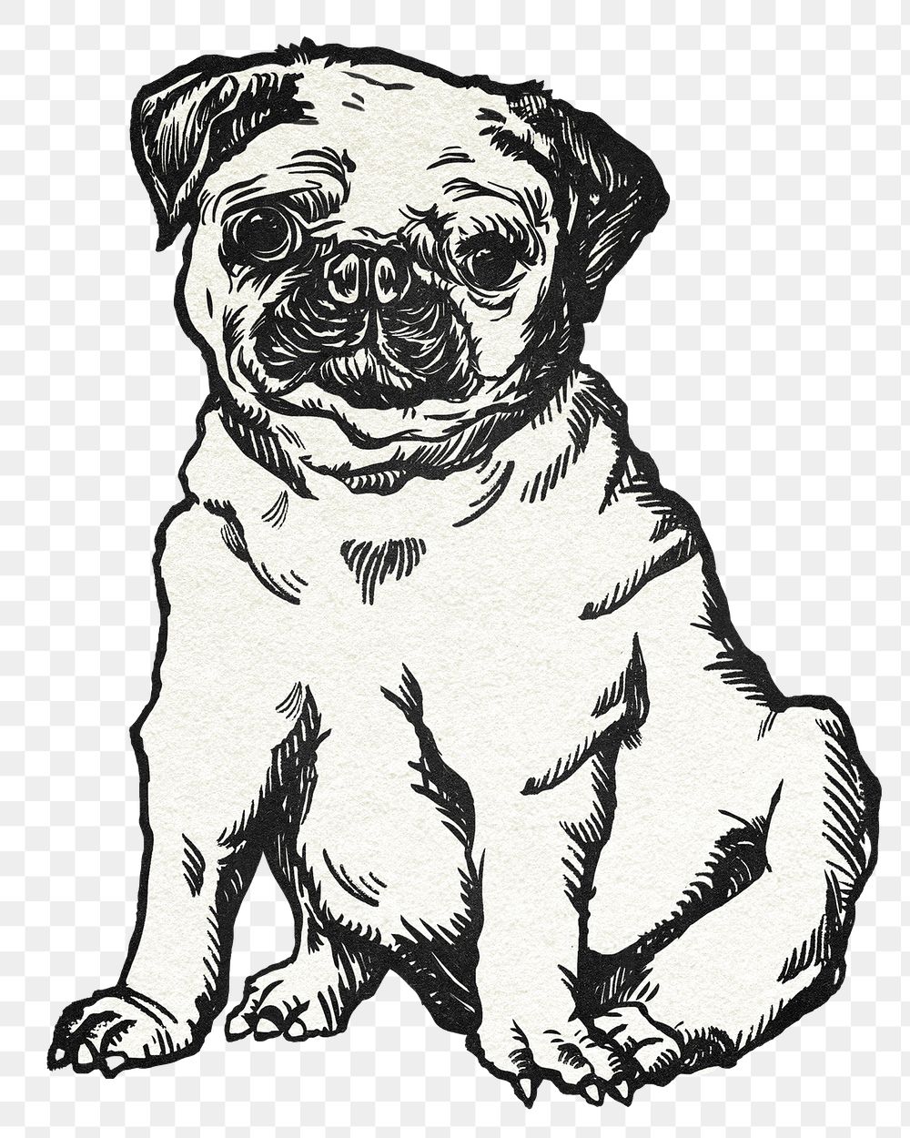 Png pug dog sticker in vintage style
