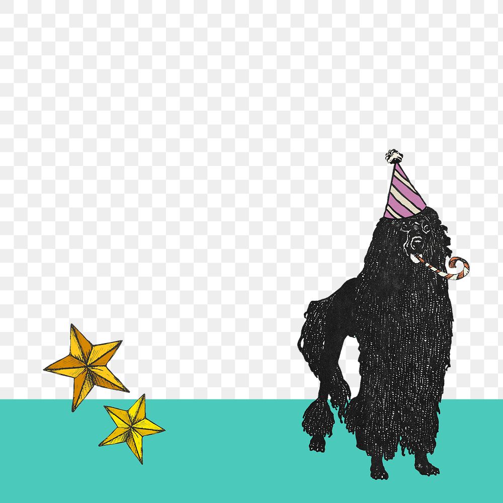 Poodle png border cute dog in birthday cone hat