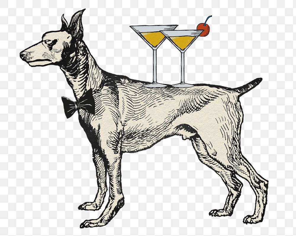 Birthday png dog sticker greyhound with martini glasses