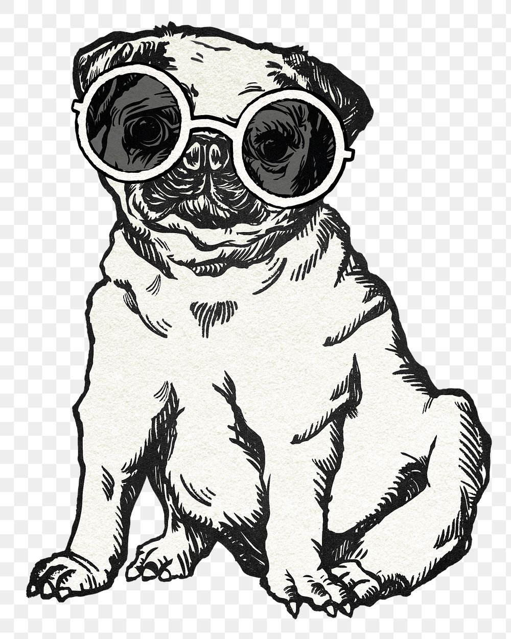 Pug png dog sticker in vintage sunglasses
