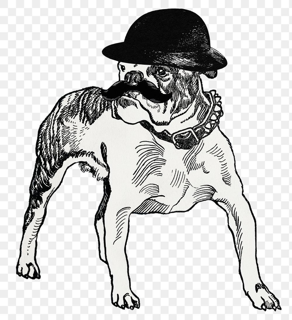 Pit-bull png dog sticker in bowl hat, remixed from artworks by Moriz Jung