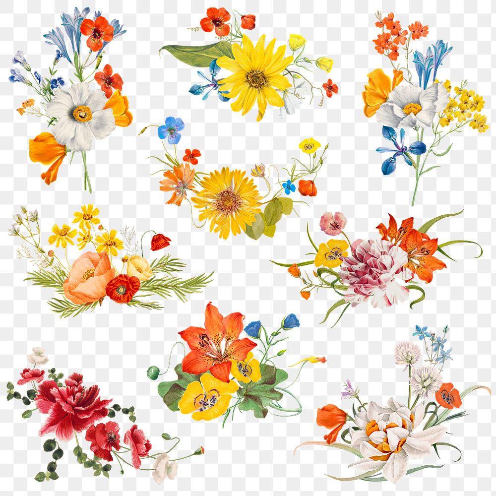 Spring flower png sticker illustration set, remixed from public domain artworks