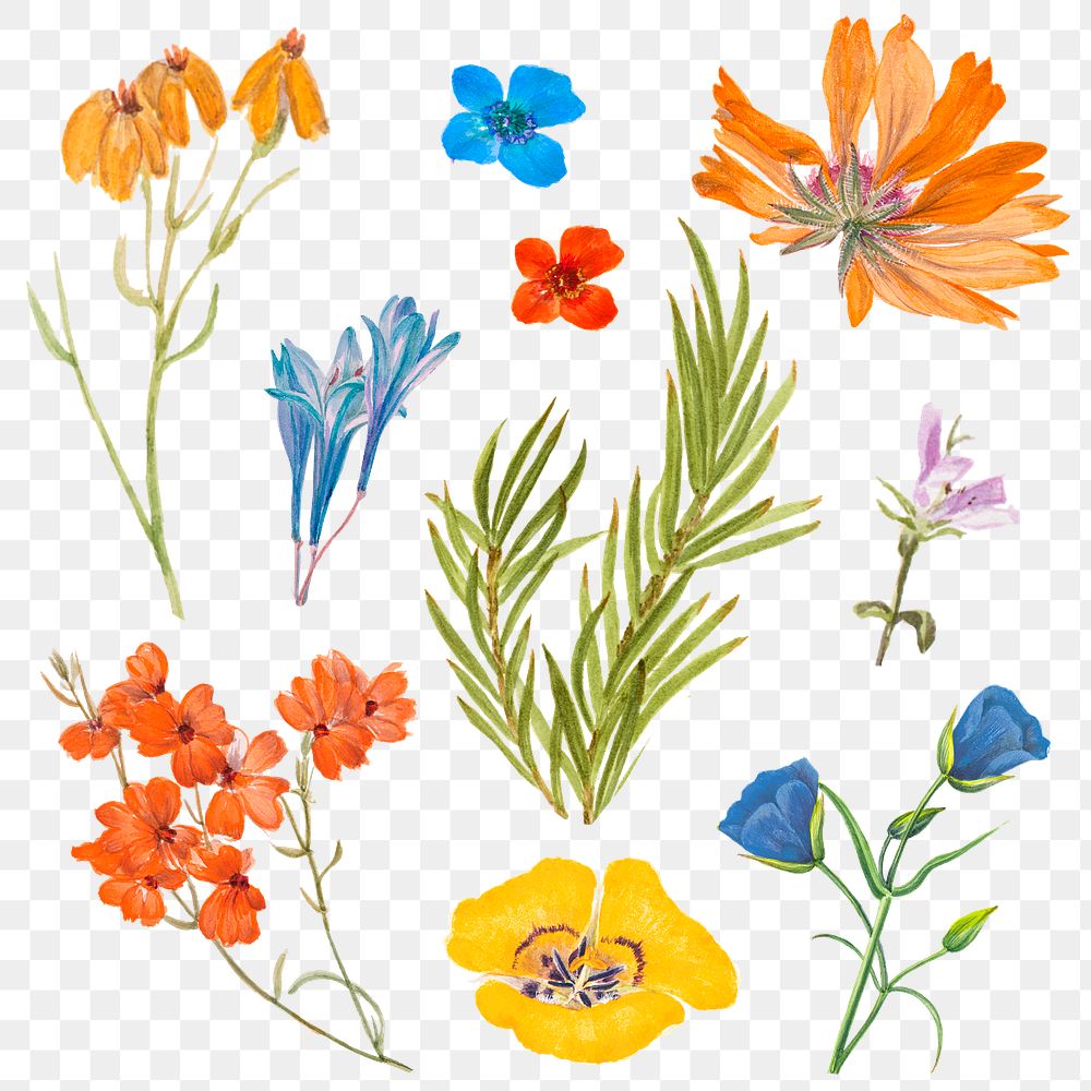 Spring flower png sticker illustration set, remixed from public domain artworks