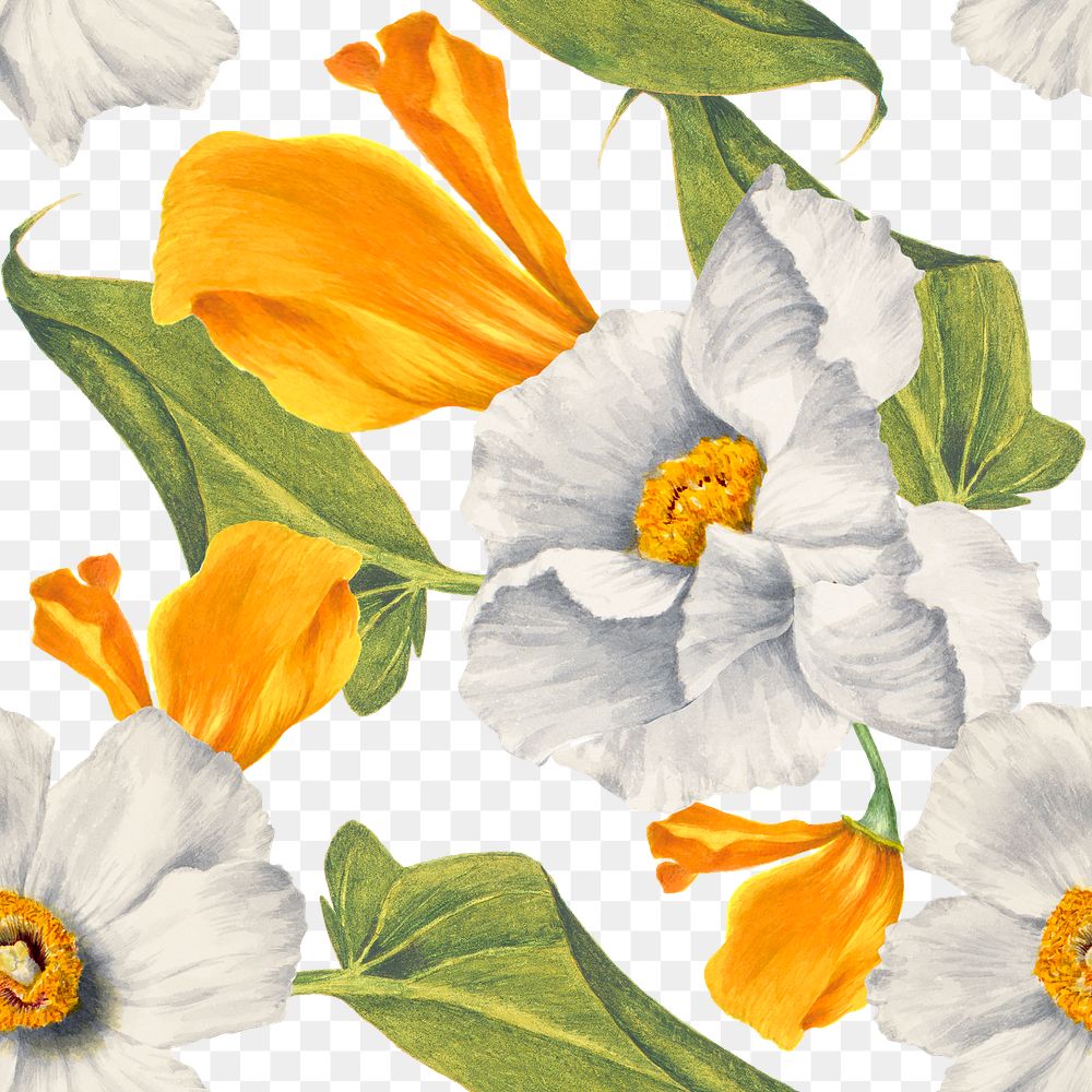 Png vintage floral seamless pattern transparent background, remixed from public domain artworks