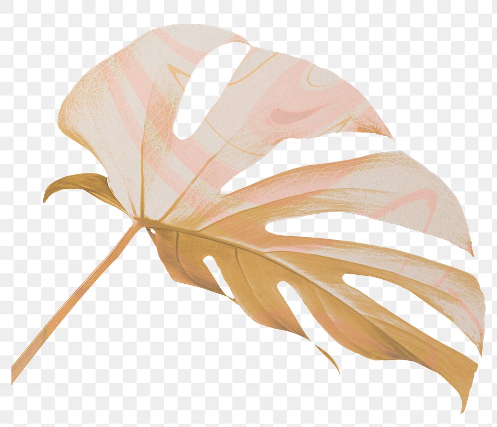 Gold monstera leaf png sticker