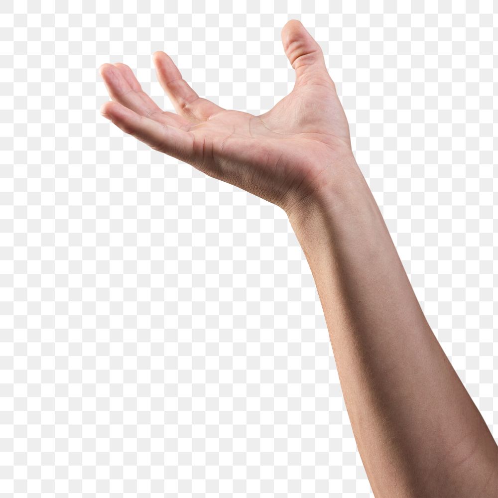 Empty hand on transparent png background