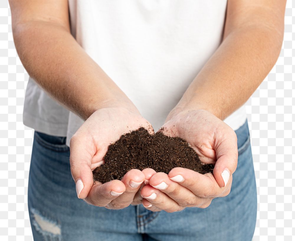 Soil in hand png mockup for reforestation to prevent the climate change