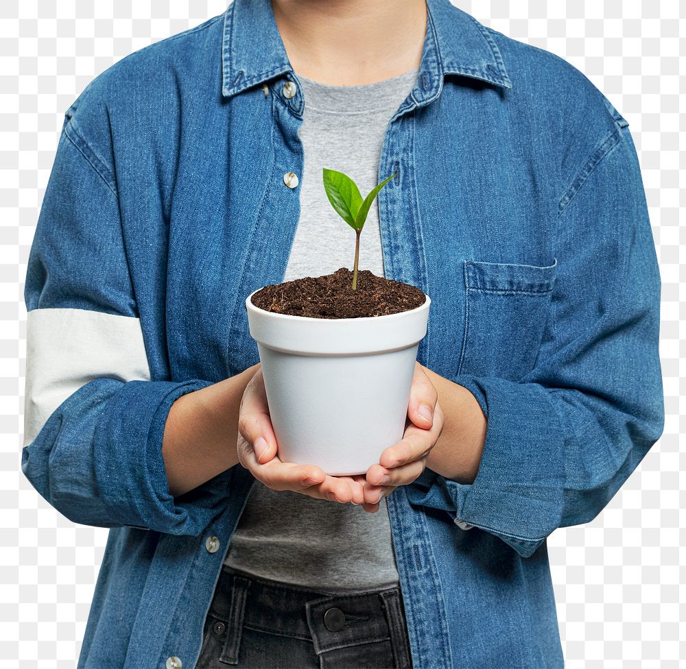 Environmental volunteer png mockup with a plant pot
