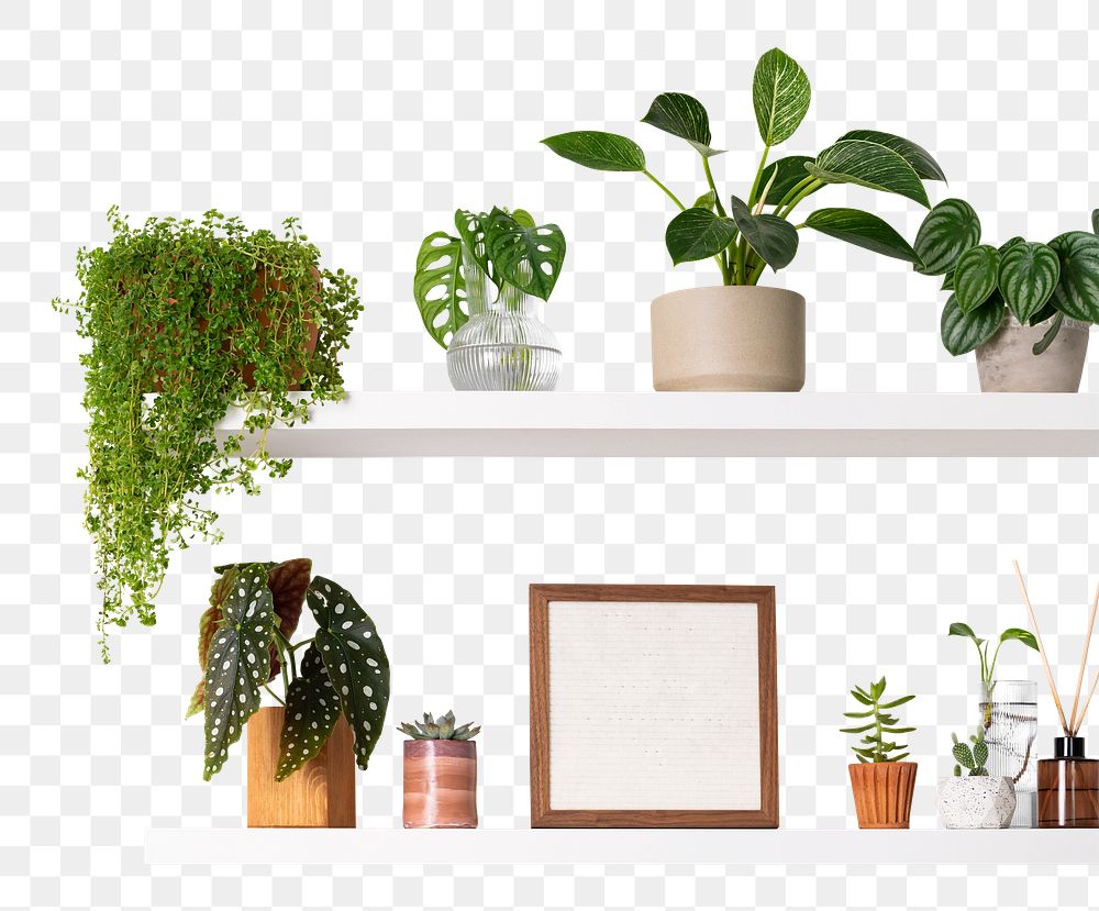 Png plant pots mockup on white shelf home decor