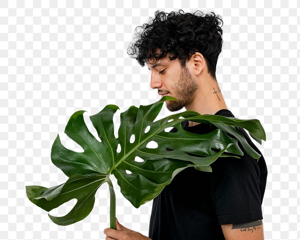 Png plant lover mockup holding monstera leaf