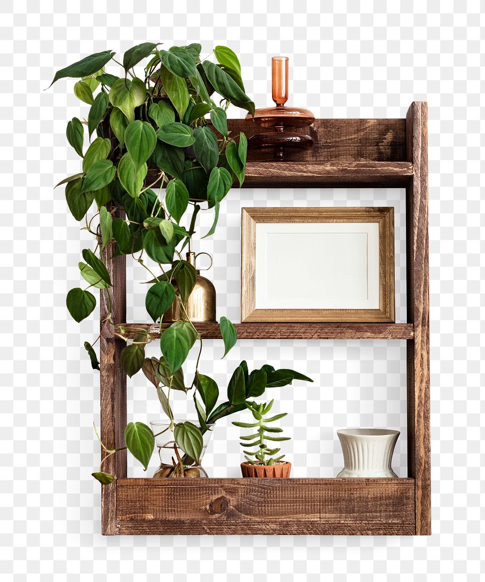 Png wooden shelf mockup with indoor plants home decor