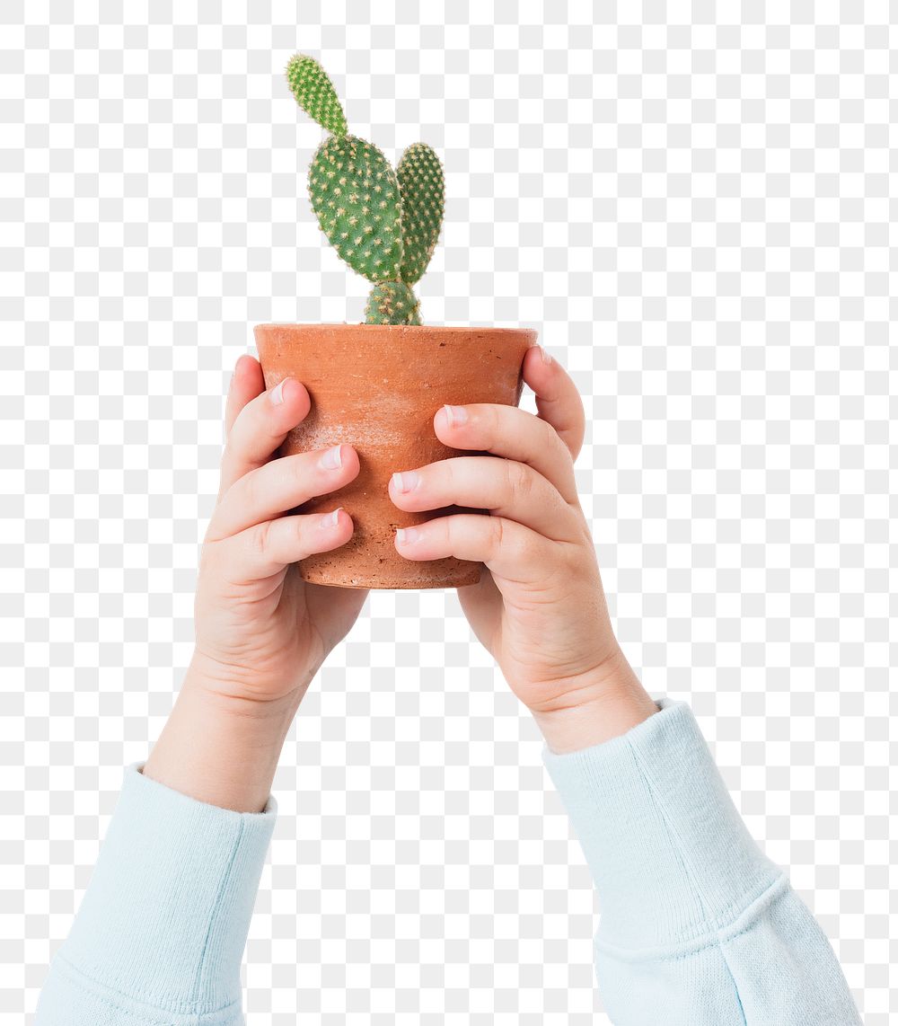 Png hand mockup holding potted bunny ears cactus