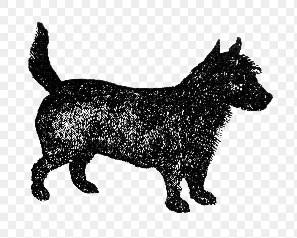 Scotch Terrier dog png collage element, black ink drawing, digitally enhanced from our own original copy of The Open Door to…