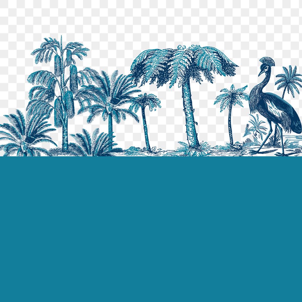 Tropical border png in transparent with blue background