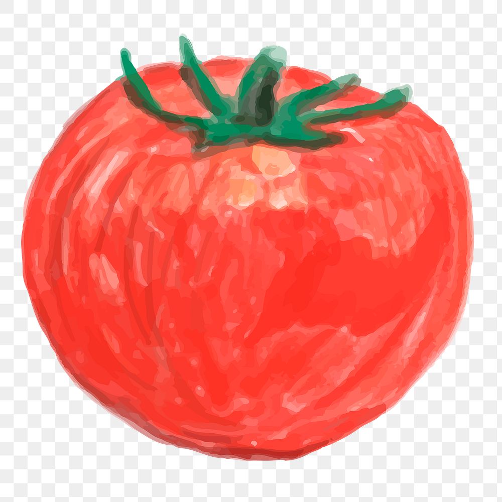 Watercolor red tomato png sticker hand drawn