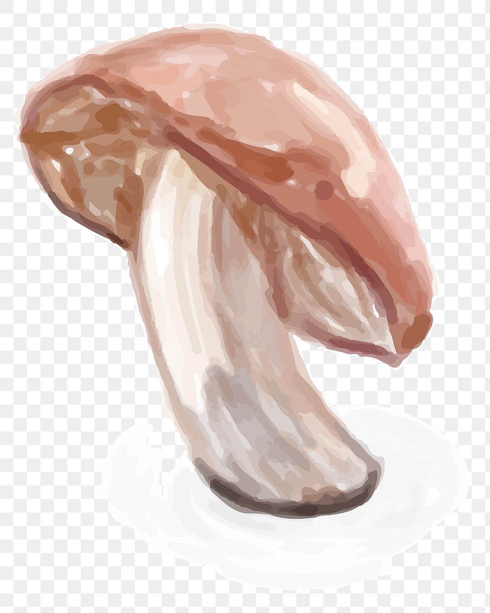 Food mushroom png sticker hand drawn