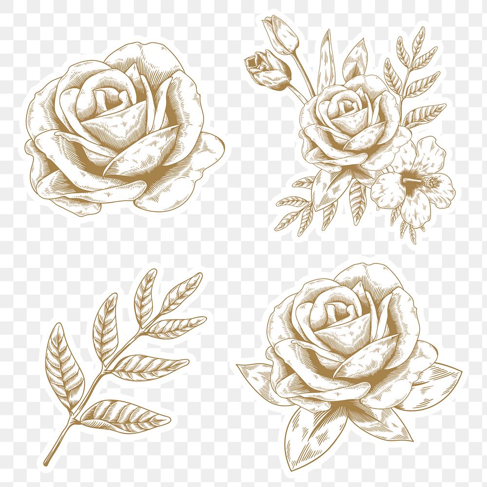 Gold rose and leaf sticker with a white border design element set