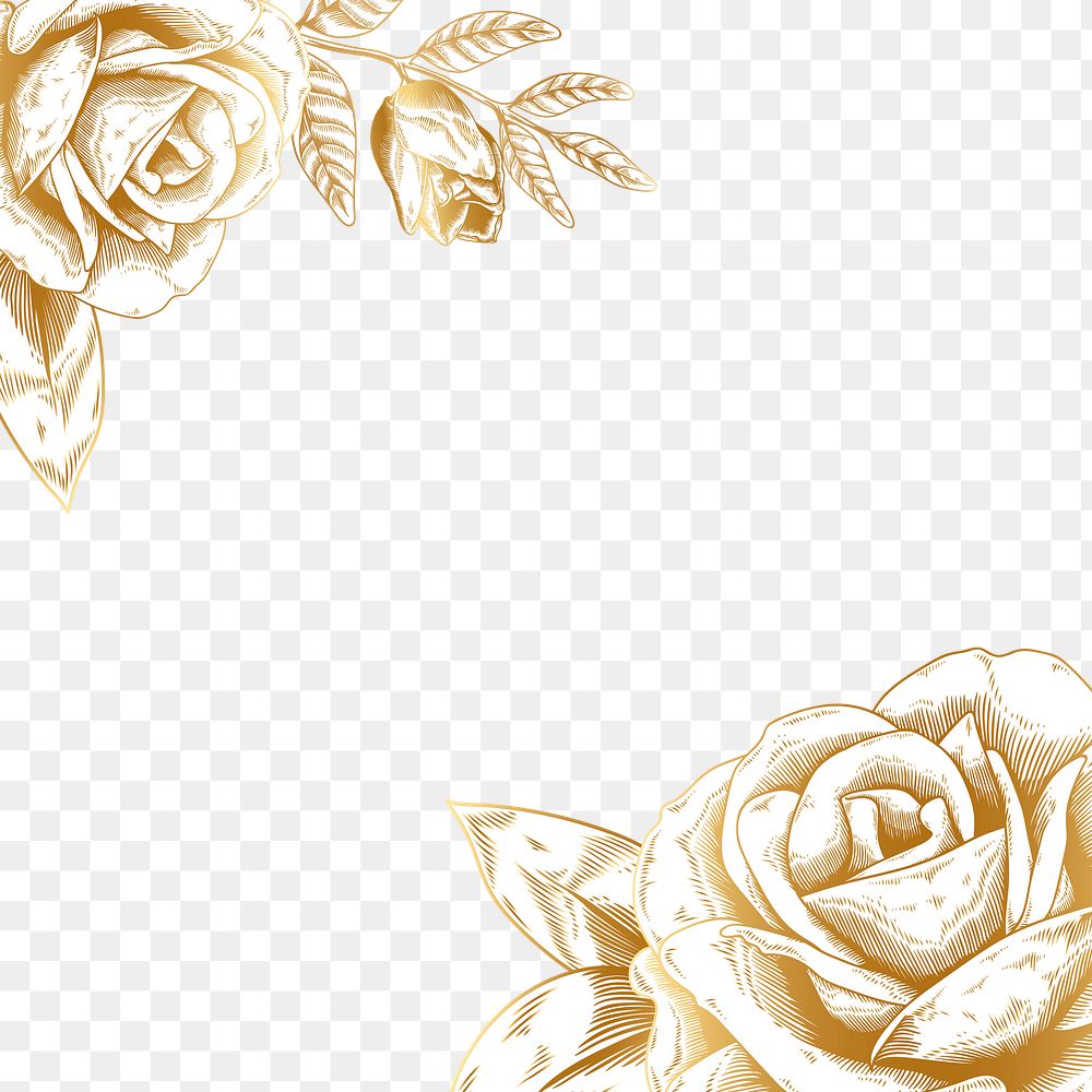 Hand drawn gold rose border design element