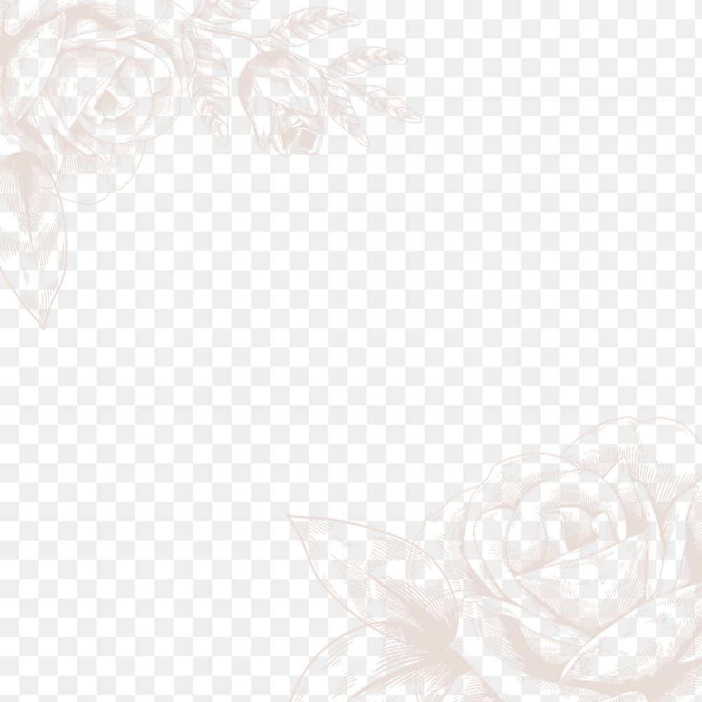 Hand drawn beige rose border design element