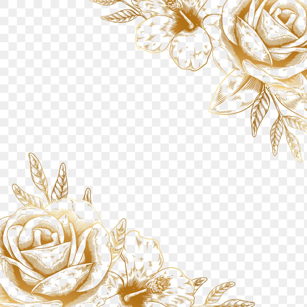 Hand drawn gold rose border design element