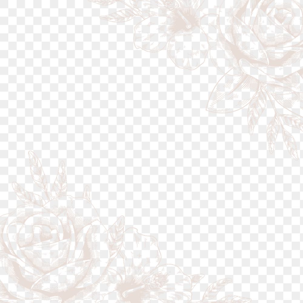 Hand drawn beige rose border design element