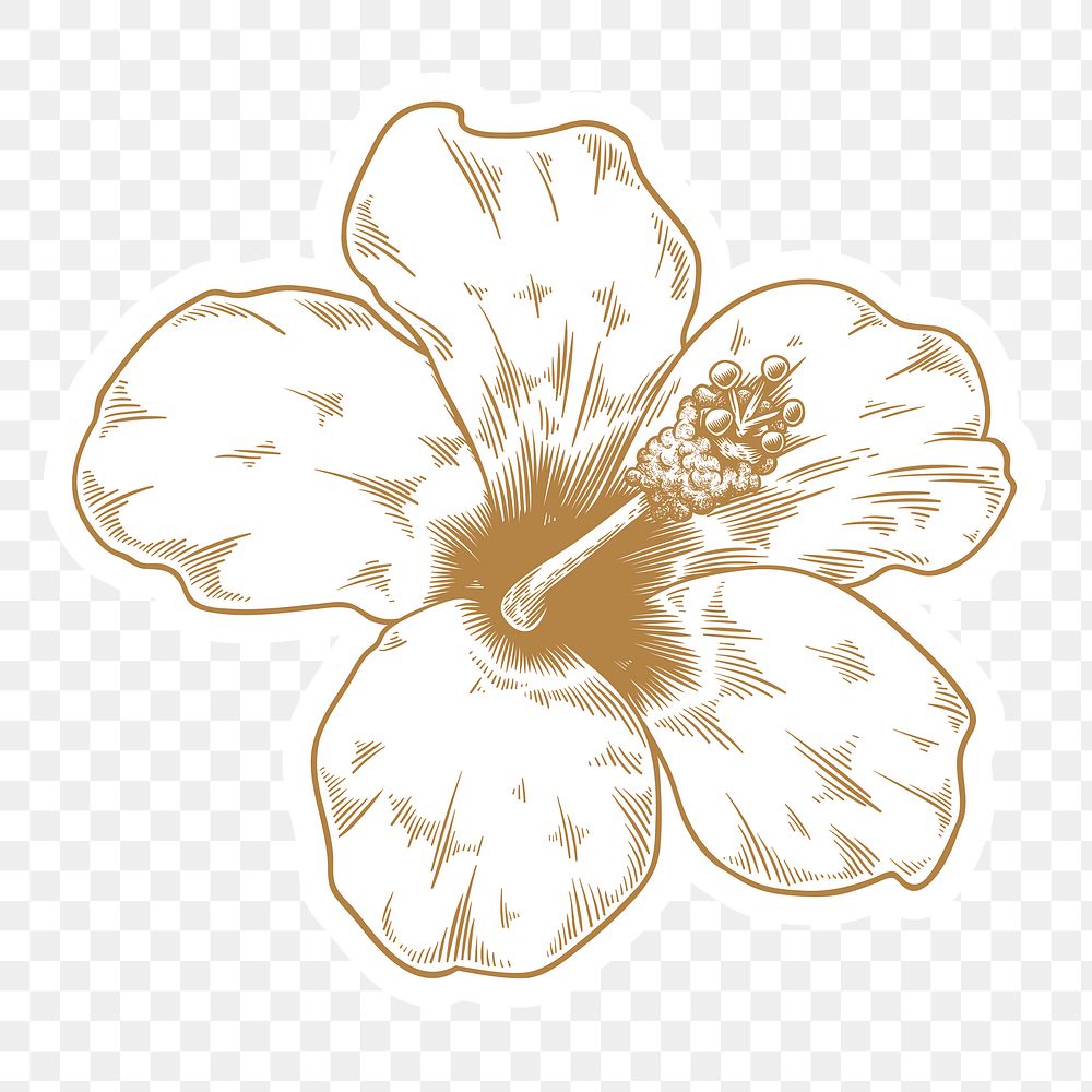 Gold and white  hibiscus flower sticker with a white border design element