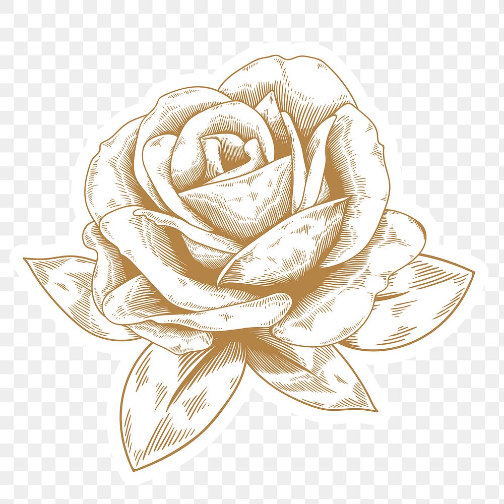 Gold and white rose sticker with a white border design element