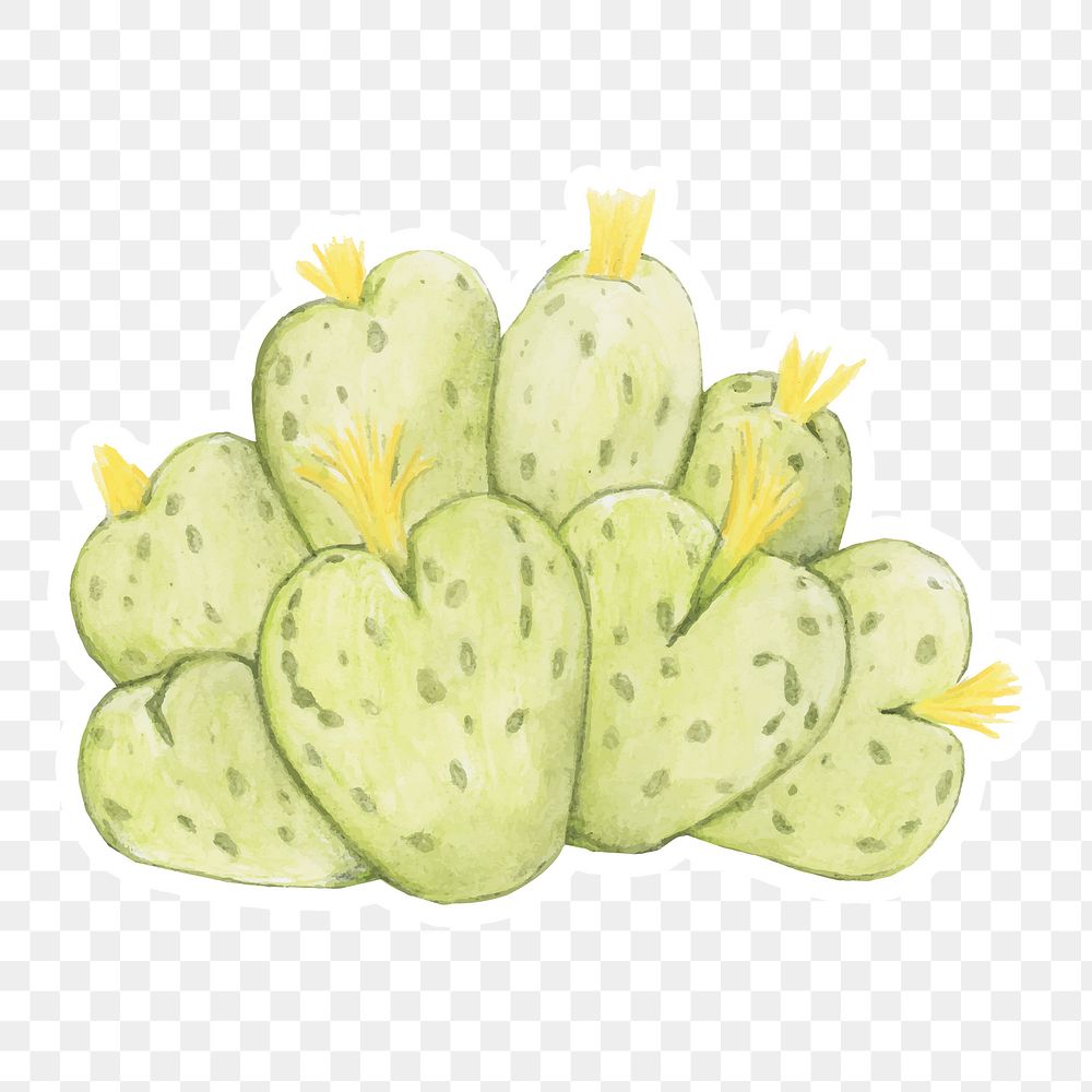 Dwarf perennial cactus watercolor sticker png